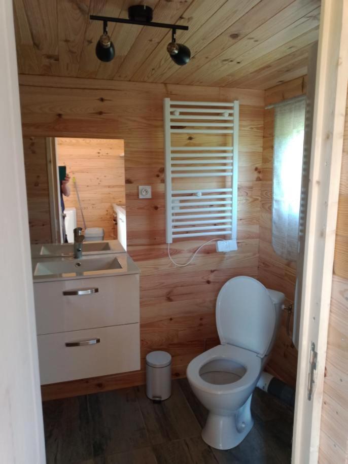 Chalet Au Calme Coullons 外观 照片